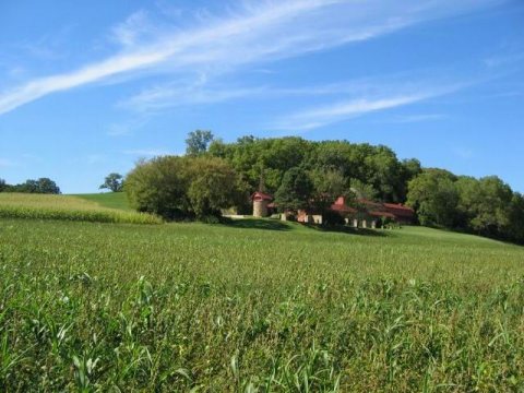 Midway Barns