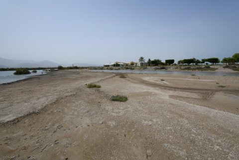 Khor Kalba Mangrove Centre 53.JPG