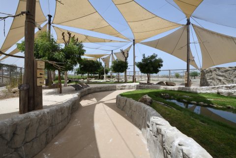 Khor Kalba Mangrove Centre 28.JPG