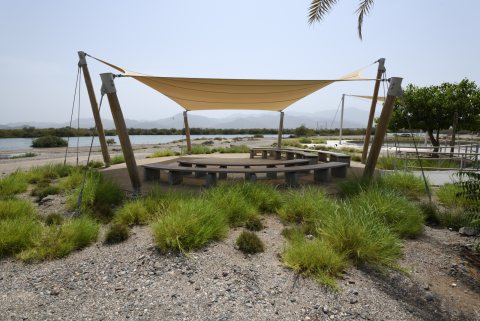 Khor Kalba Mangrove Centre 54.JPG