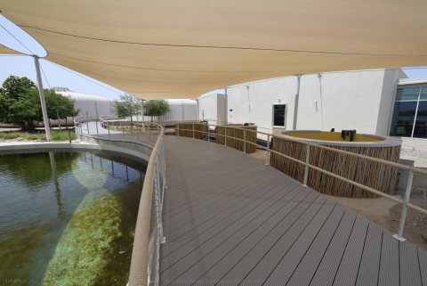 Khor Kalba Mangrove Centre 21.JPG