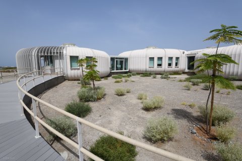 Khor Kalba Mangrove Centre 61.JPG