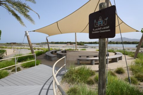 Khor Kalba Mangrove Centre 55.JPG