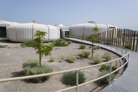 Khor Kalba Mangrove Centre 63.JPG